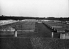 Ravensbruck More on
                                                          Ravensbr�ck
                                                          Nurse-Perpetrators
                                                          of Ravensbr�ck
                                                          Concentration
                                                          Camp
                                                          Ravensbr�ck