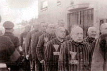 Houston Holocaust
                                                Museum