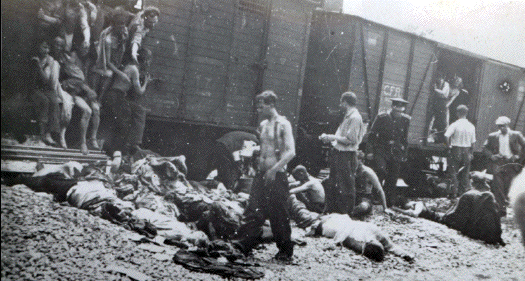 Holocaust
                                                          in Romania