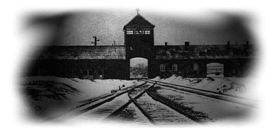 Auschwitz:
                                                  Entrance to Hell