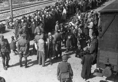 Birkenau
                                                    selection