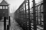 Auschwitz