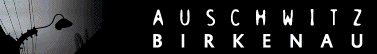 Auschwitz-Birkenau
                                                        Subcamps