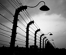 Auschwitz
                                                          electrified
                                                          fences
