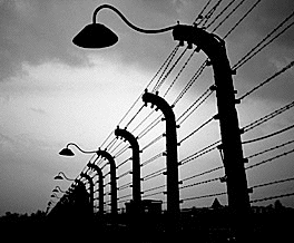 Auschwitz
                                                          electrified
                                                          fences