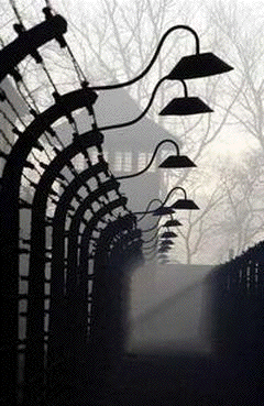 Holocaust survivors
                                  and remembrance