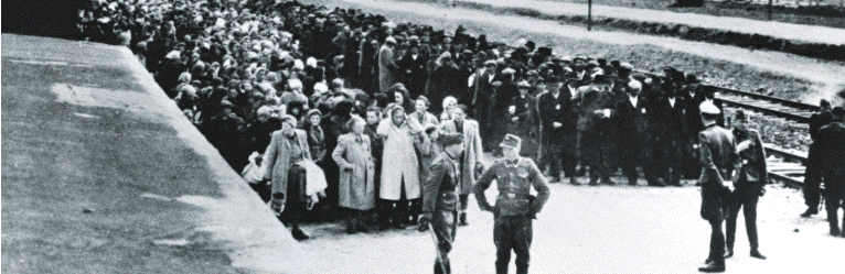 Upon arrival at
                                    Auschwitz-Birkenau camp
