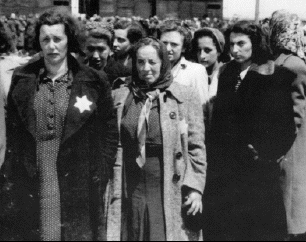 Auschwitz
                                                      women selected for
                                                      slave labor.
