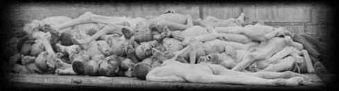 Legacy of the
                                                  Holocaust