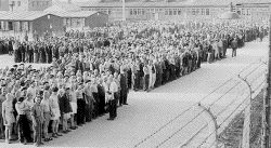 Prisoners at
                                                      Gusen