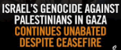 gaza
                                                      genocide