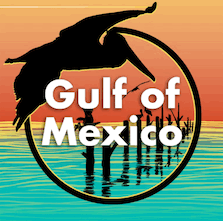 gulf of mexico